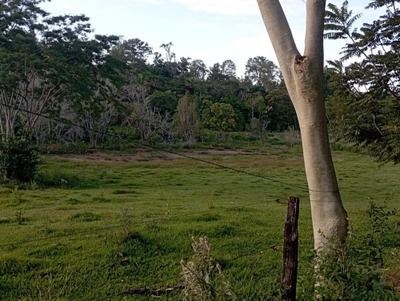 Chácara, 2 hectares - Foto 4