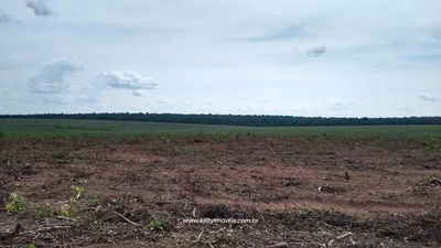 Fazenda, 715 hectares - Foto 5