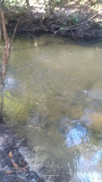 Fazenda, 715 hectares - Foto 3