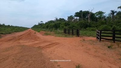 Fazenda, 715 hectares - Foto 4