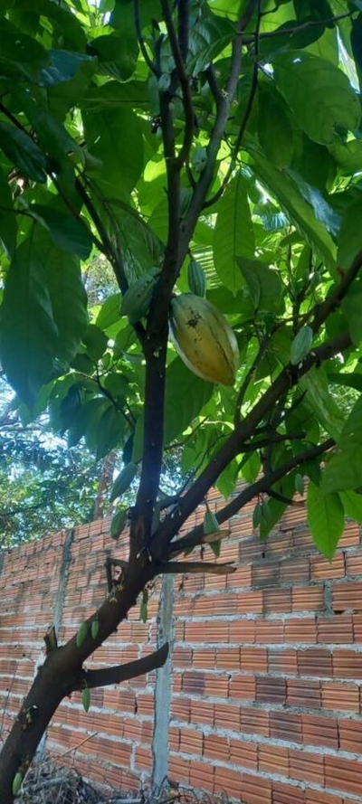 Casa, 3 quartos, 140 m² - Foto 2