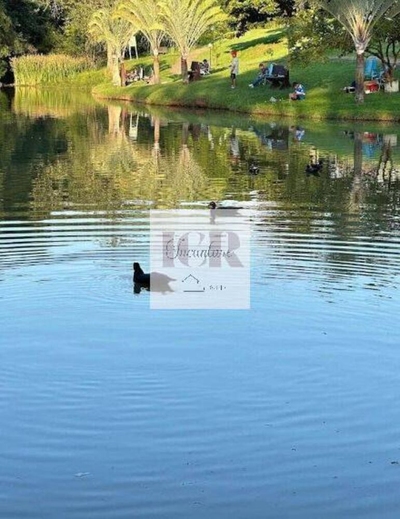 Terreno, 246 m² - Foto 4