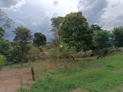 Sítio, 1 quarto, 5000 m² - Foto 2