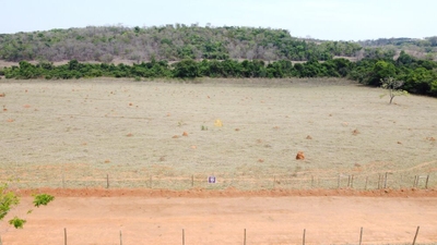 Terreno, 2 hectares - Foto 5