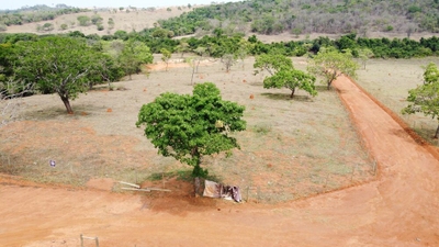 Terreno, 2 hectares - Foto 5