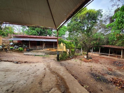 Sítio, 3 quartos, 1800 m² - Foto 3