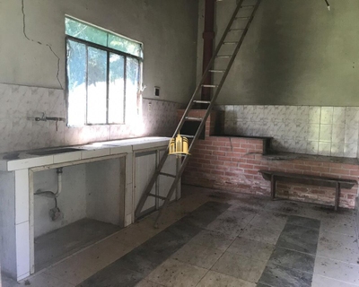 Sítio, 2 quartos, 44000 m² - Foto 1