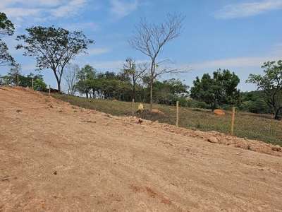 Terreno, 2 hectares - Foto 5