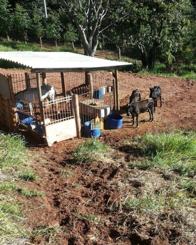 Terreno, 5600 m² - Foto 2