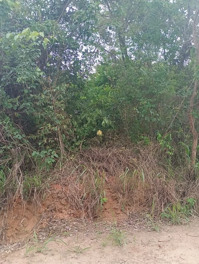 Terreno, 360 m² - Foto 4