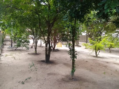 Sítio, 3 quartos, 1000 m² - Foto 4