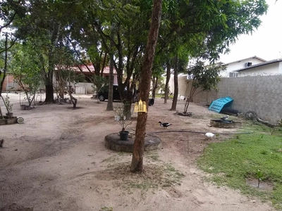 Sítio, 3 quartos, 1000 m² - Foto 5