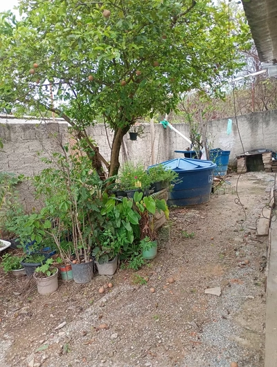 Sítio, 2 quartos, 410 m² - Foto 3