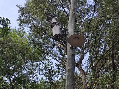 Sítio, 3 quartos, 2 hectares - Foto 3