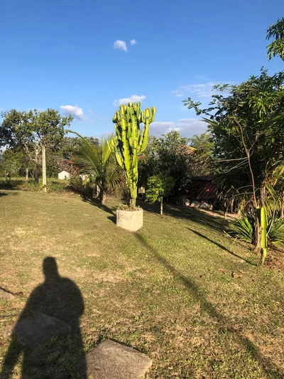 Sítio, 3 quartos, 1500 m² - Foto 3