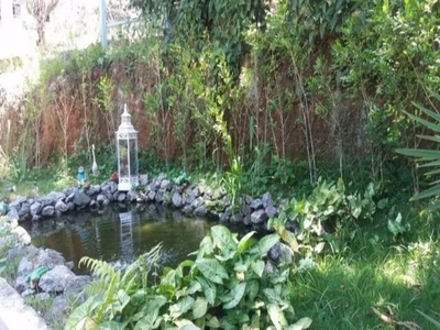 Chácara, 3 quartos, 1000 m² - Foto 3