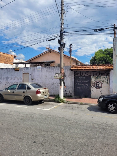 Casa, 4 quartos, 386 m² - Foto 2