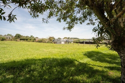 Terreno, 2603 m² - Foto 4