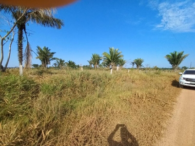 Fazenda-Sítio-Chácara, 51 hectares - Foto 4