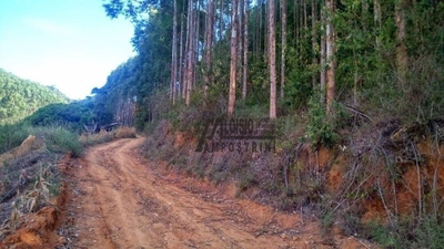 Sítio, 48 hectares - Foto 5