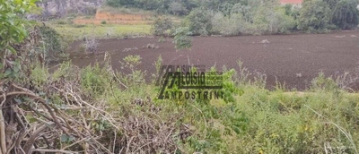 Sítio, 3 hectares - Foto 4