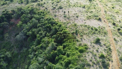 Sítio, 24 hectares - Foto 5