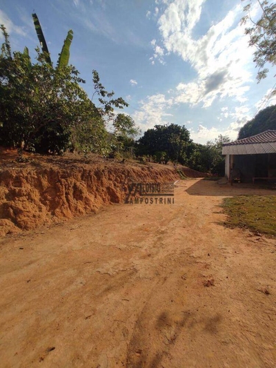 Sítio, 6 hectares - Foto 4