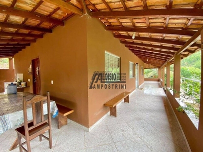 Sítio, 3 hectares - Foto 3