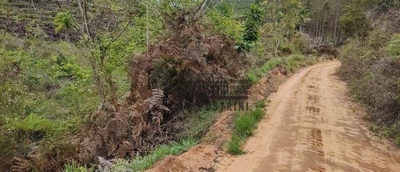 Fazenda-Sítio-Chácara, 145 hectares - Foto 3