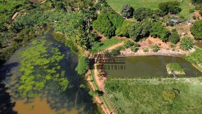 Sítio, 3 quartos, 48 hectares - Foto 3