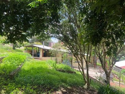 Chácara, 2 quartos, 1000 m² - Foto 4