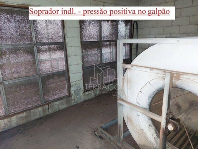 Depósito-Galpão, 1500 m² - Foto 3