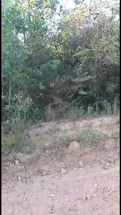 Terreno, 7 hectares - Foto 2