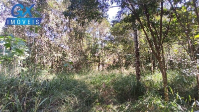 Sítio, 5650 m² - Foto 2