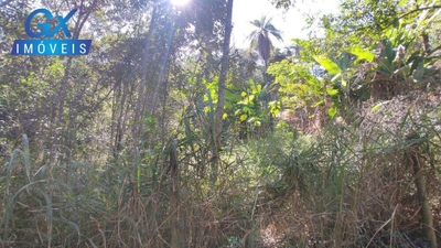 Sítio, 5650 m² - Foto 1