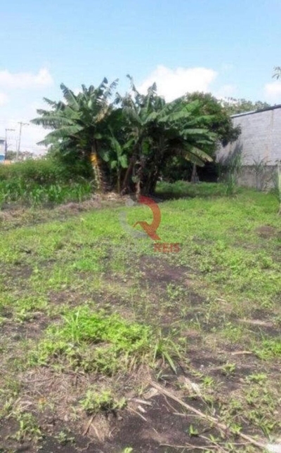 Terreno, 6000 m² - Foto 4