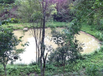 Fazenda-Sítio-Chácara, 22 hectares - Foto 5