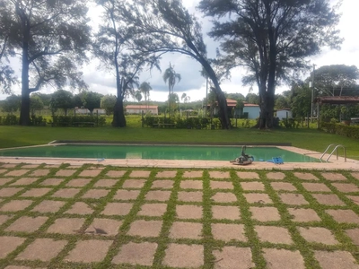 Fazenda, 4 hectares - Foto 1