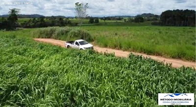 Fazenda, 2085 hectares - Foto 1