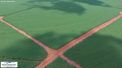 Fazenda-Sítio-Chácara - Foto 2