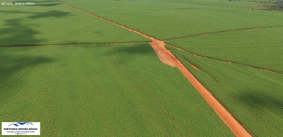 Fazenda-Sítio-Chácara - Foto 5