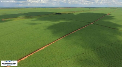 Fazenda-Sítio-Chácara - Foto 3