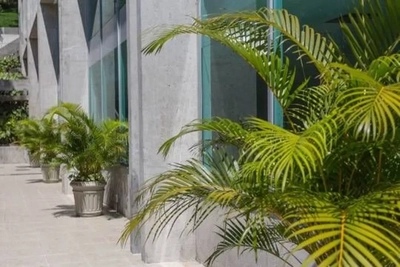 Prédio Inteiro, 6724 m² - Foto 3