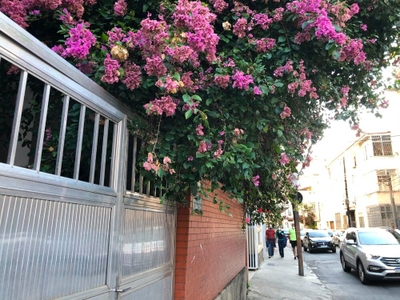 Loja-Salão, 72 m² - Foto 3