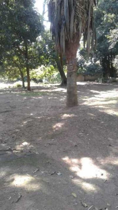 Terreno, 4500 m² - Foto 4