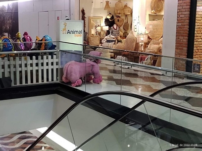 Loja-Salão, 72 m² - Foto 4