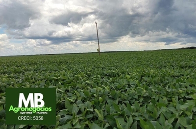 Fazenda-Sítio-Chácara, 970 hectares - Foto 4