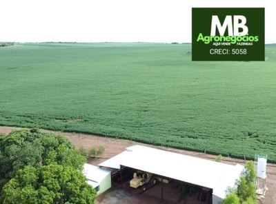 Fazenda-Sítio-Chácara, 970 hectares - Foto 1