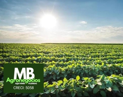 Fazenda-Sítio-Chácara, 970 hectares - Foto 3