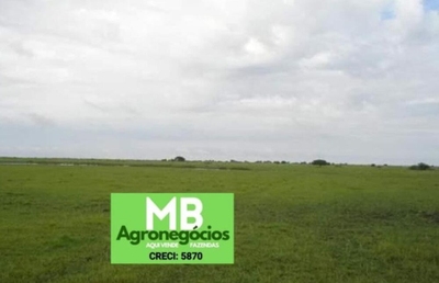 Fazenda-Sítio-Chácara, 5500 hectares - Foto 5